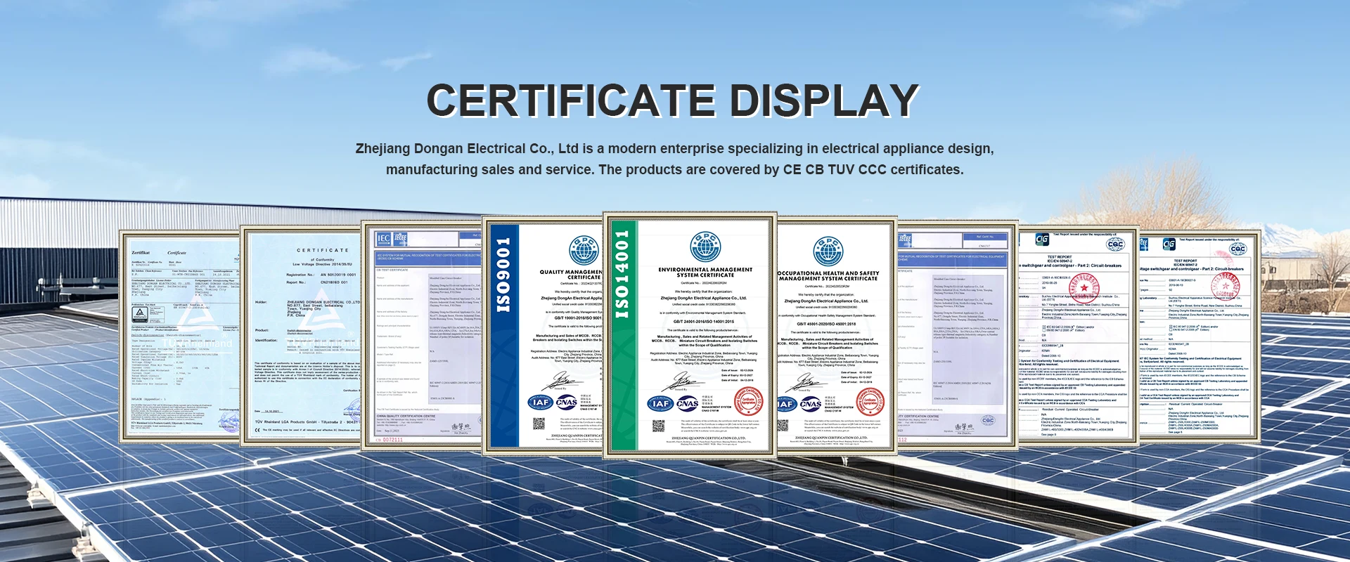 Fornitore del certificato cinese